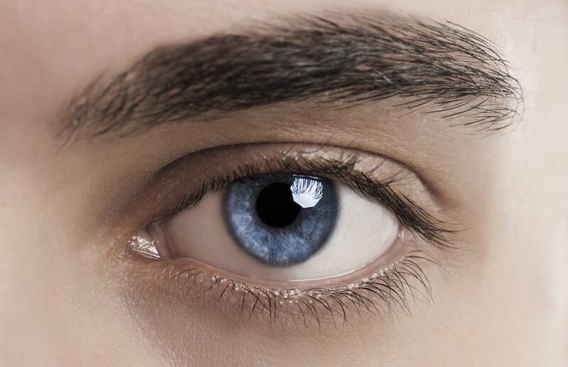 Trucking and logistics Company